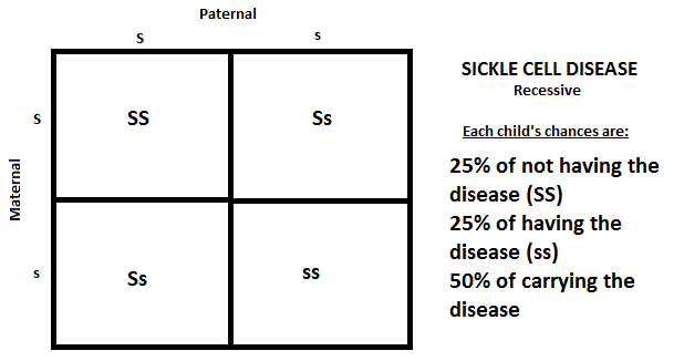 This Punnett square shows the chances of SCA, and it is recessive.