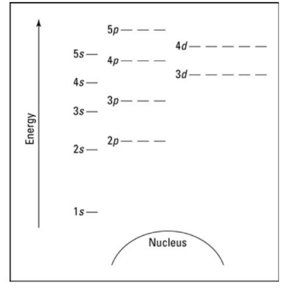 The principle number
The symbol n, is used to label the energy level