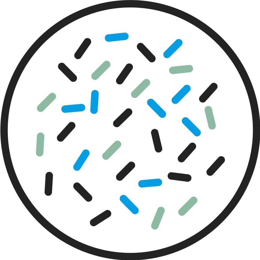 Virus transmitidos a través
de las partículas de saliva