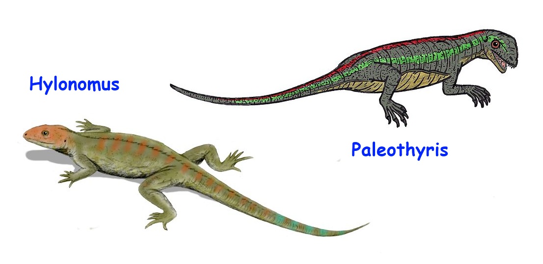 Evolución de reptiles