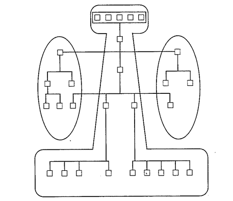 Organigrama