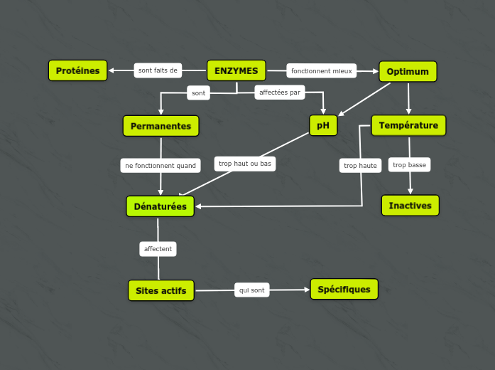 ENZYMES