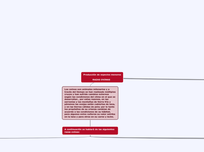 Producción de especies menores

             RAZAS OVINAS