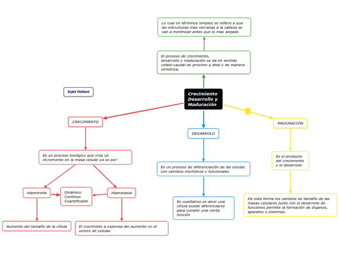 Crecimiento 
Desarrollo y
Maduración - Mapa Mental