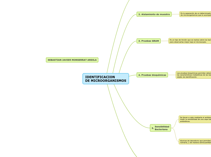 IDENTIFICACION
DE MICROORGANISMOS