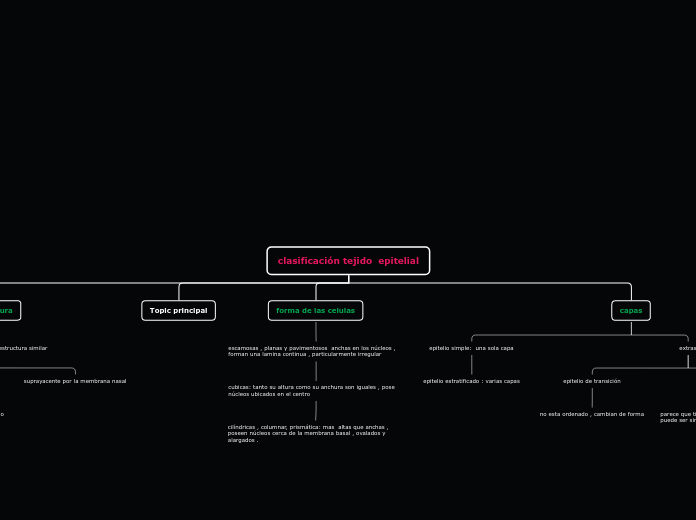 clasificación tejido  epitelial - Mapa Mental