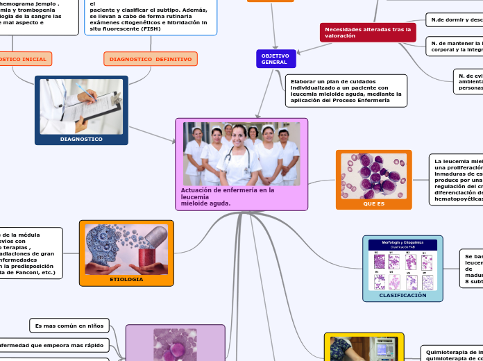 Actuación de enfermería en la leucemiamieloide aguda.