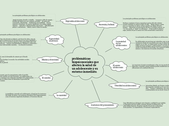 problemáticas biopsicosociales que afecten la salud de un adolescente y su entorno inmediato.