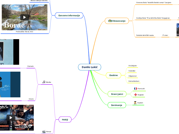 Danilo Lukić - Mind Map