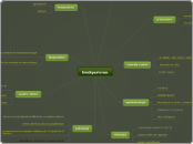 biodigestores. - Mapa Mental