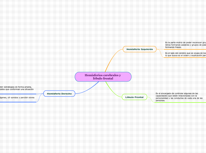 Hemisferios cerebrales y lóbulo frontal