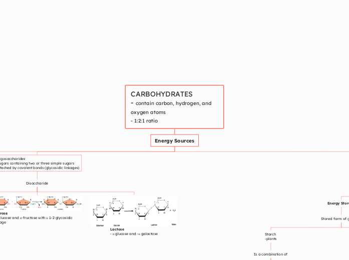 CARBOHYDRATES
- contain carbon, hydrogen, ...- Mind Map