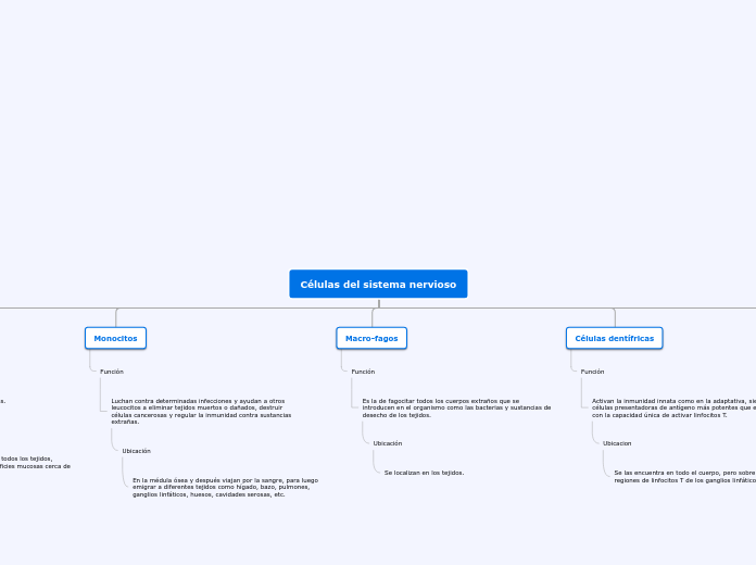 Células del sistema nervioso - Mapa Mental