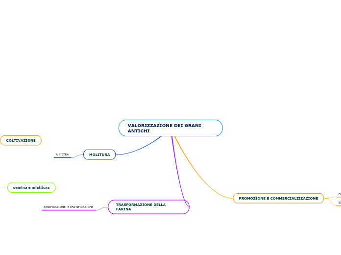 VALORIZZAZIONE DEI GRANI ANTICHI