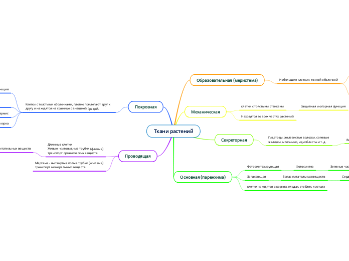 Ткани растений - Мыслительная карта