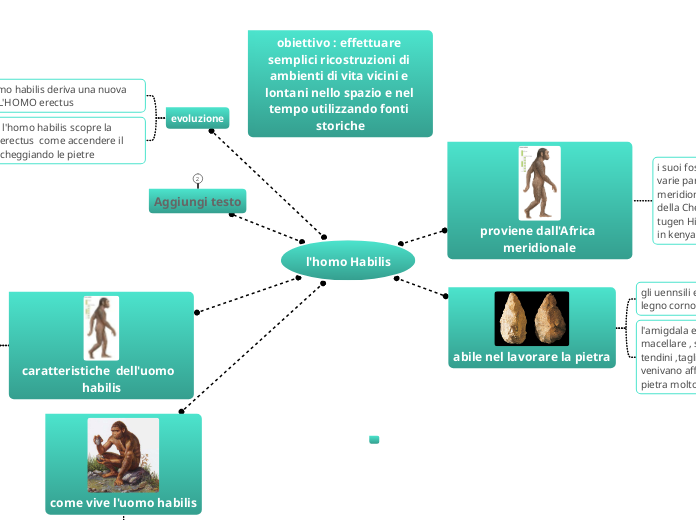 l'homo Habilis