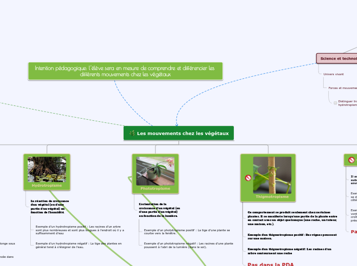 Les mouvements chez les végétaux - Carte Mentale