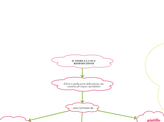 IL FIORE E LA SUA RIPRODUZIONE