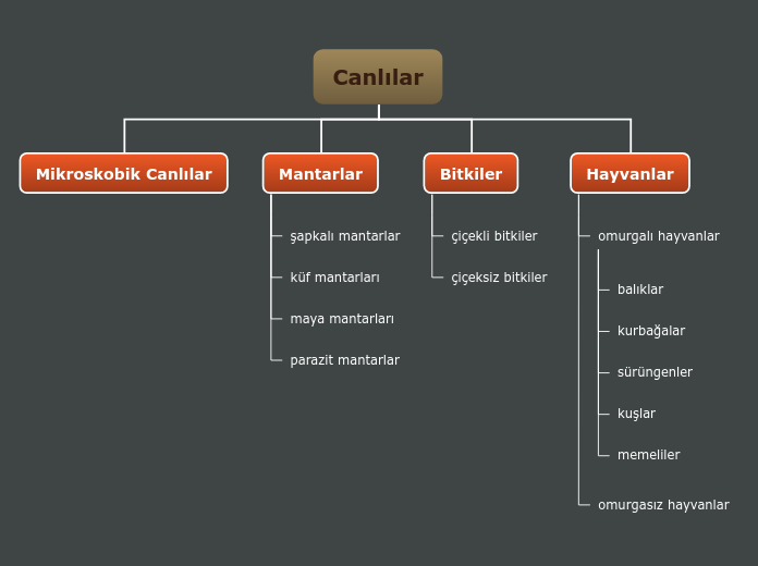 Canlılar - Mind Map