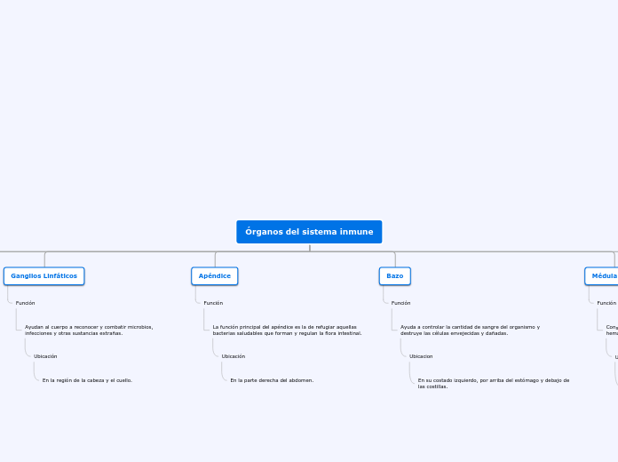 Órganos del sistema inmune - Mapa Mental