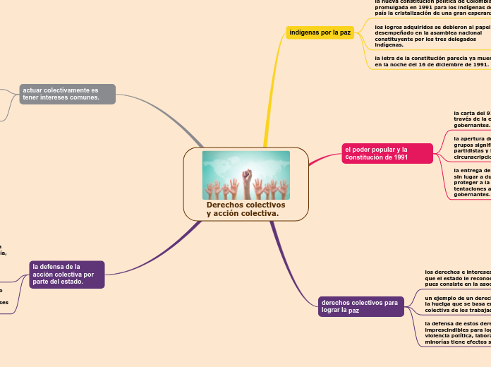 Derechos colectivos y acción colectiva.