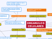 ORGANULOS CELULARES