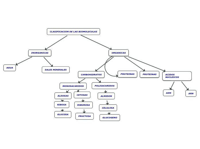 CLASIFICACION DE LAS BIOMOLECULAS