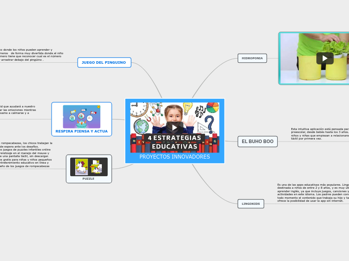 PROYECTOS INNOVADORES - Mapa Mental