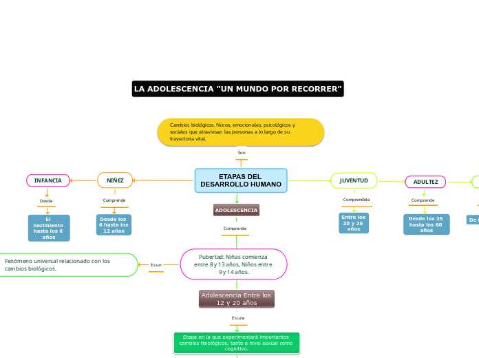 ETAPAS DEL DESARROLLO HUMANO