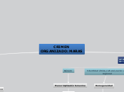 CRIMEN ORGANIZADO: MARAS - Mapa Mental