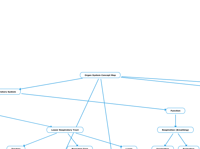 Organ System Concept Map