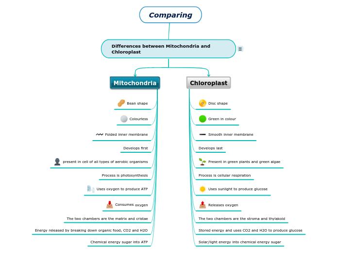 Comparing