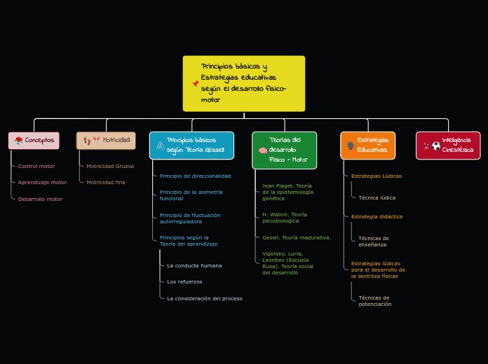 Principios básicos y Estrategias educat...- Mapa Mental