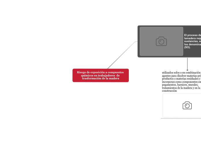 Riesgo de exposición a compuestos quími...- Mapa Mental