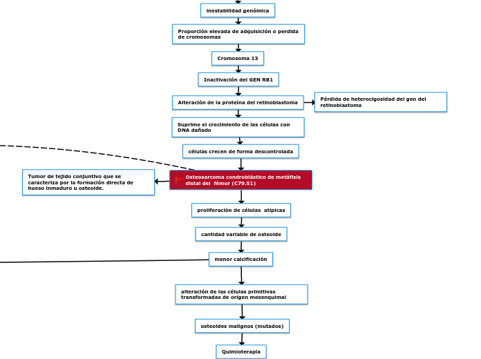 Osteosarcoma condroblástico de metáfisis distal del  fémur (C79.51)