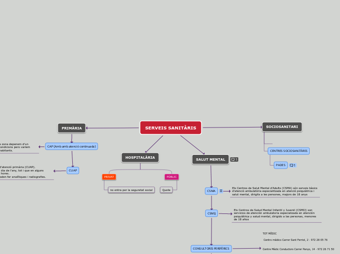 SERVEIS SANITÀRIS - Mapa Mental