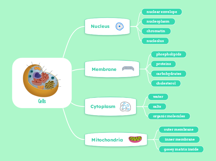 Cells - Mind Map