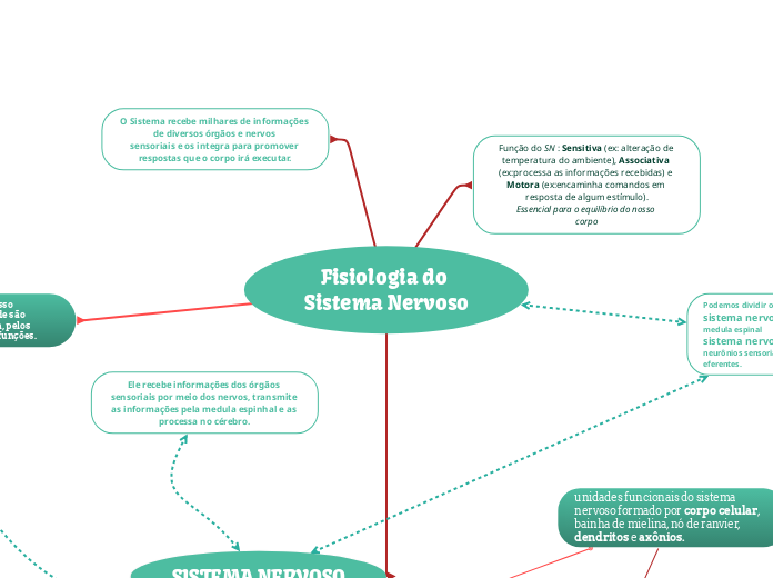 Fisiologia do Sistema Nervoso