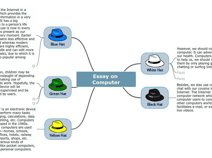 Essay on Computer