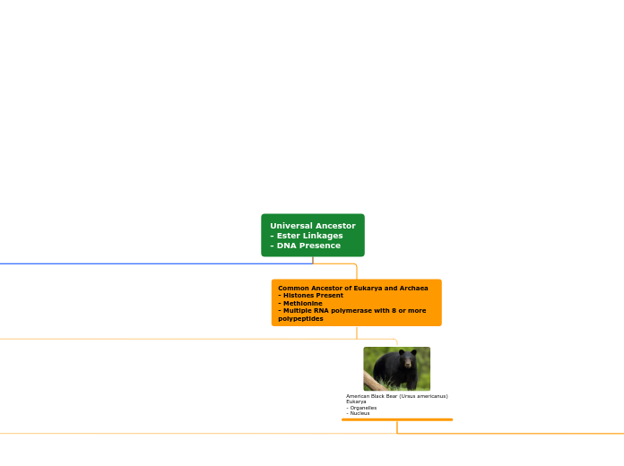 Universal Ancestor
- Ester Linkages
- DNA ...- Mind Map