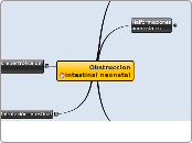 Obstruccion intestinal neonatal