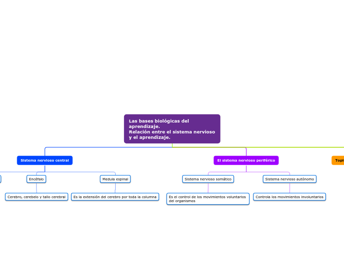 Las bases biológicas del aprendizaje.                                                  Relación entre el sistema nervioso y el aprendizaje.