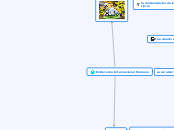 EL Derecho Internacional Humano - Mapa Mental