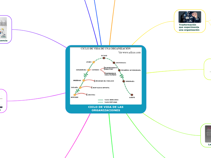 CICLO DE VIDA DE LAS ORGANIZACIONES