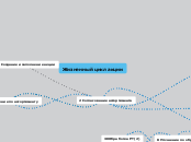 Жизненный цикл акции - Мыслительная карта