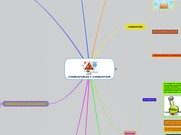 COMBUSTIBLES Y COMBUSTION