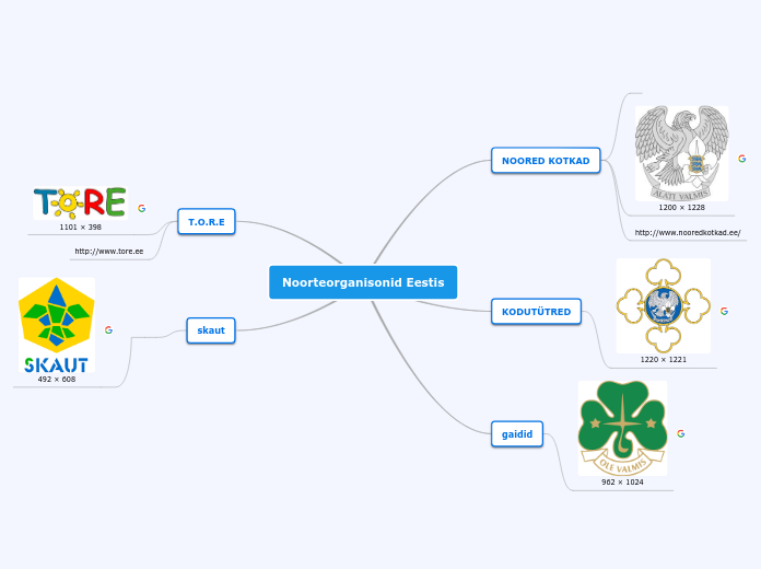 Noorteorganisonid Eestis - Mind Map