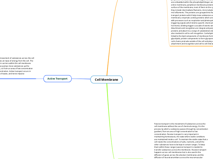 Cell Membrane