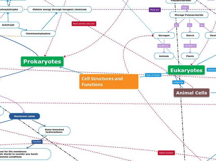 Cell Structures and Functions