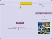 metabolismo lineal  - Mapa Mental